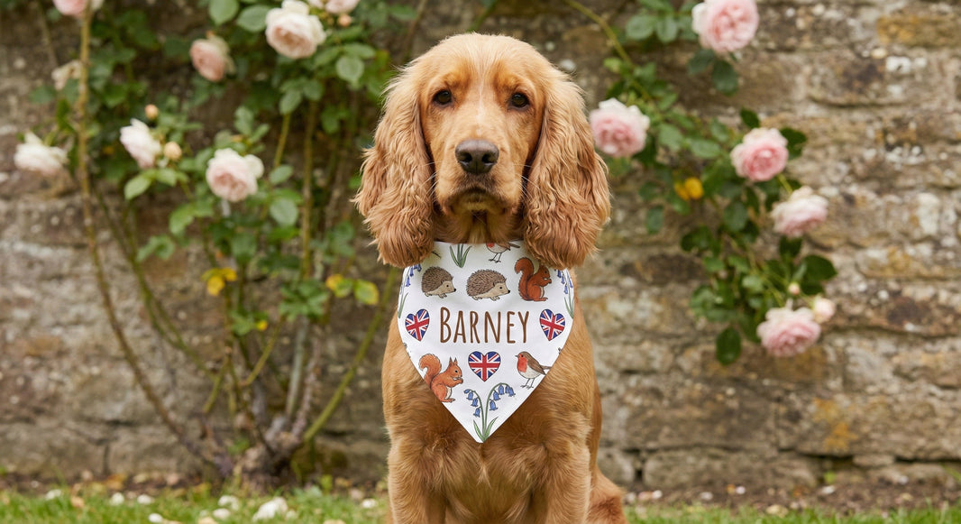 Custom dog bandana printed Barney, dog standing by a stone wall and flowers