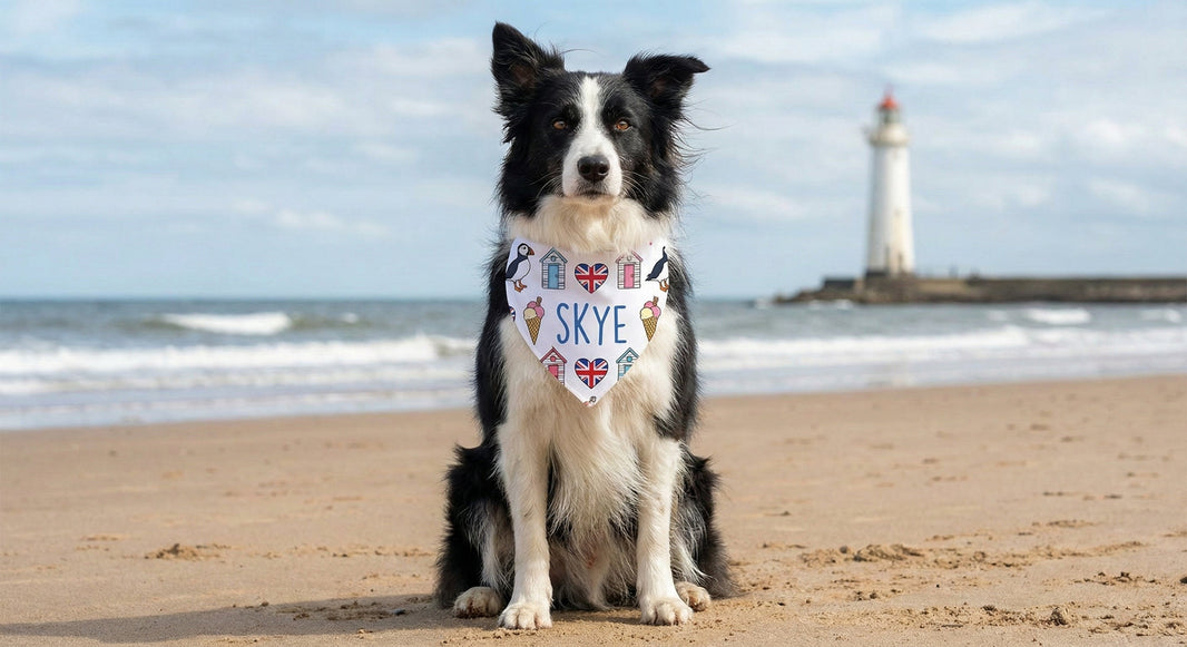 Custom dog bandana — dog named Skye on a beach with a lighthouse behind