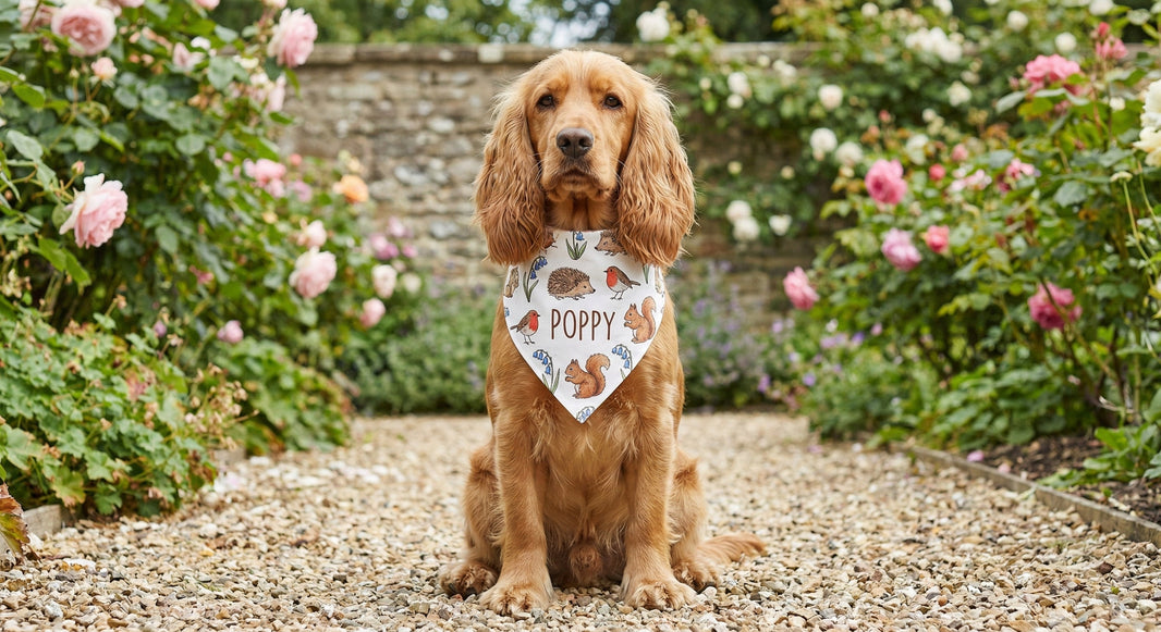 Pet bandana with floral pattern and the name Poppy in a garden