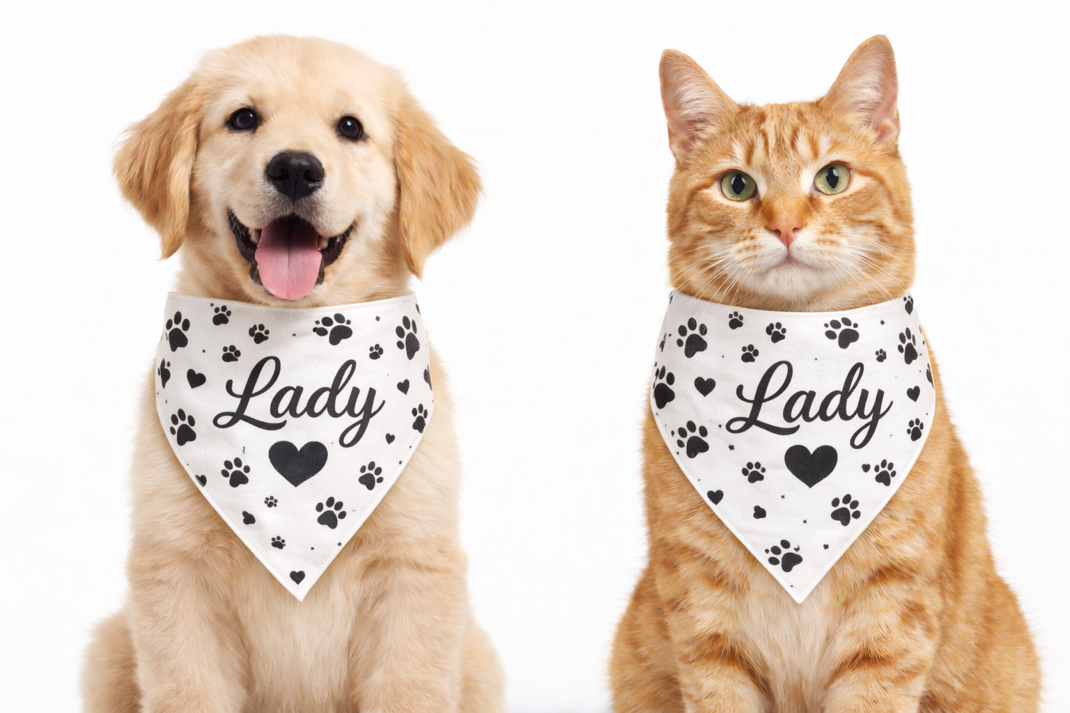 Dog and cat wearing bandanas with 'Lady' printed on them against a white background