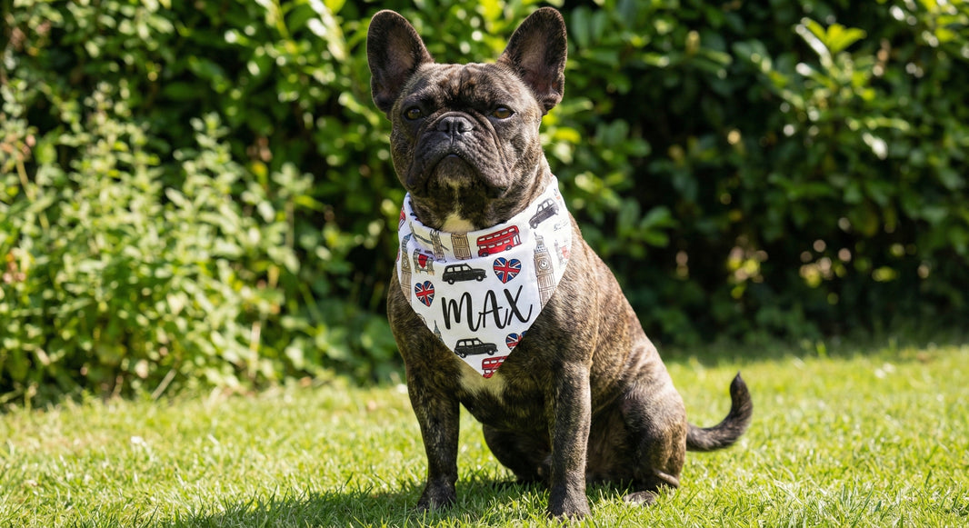 Dog wearing a bandana with 'MAX' on it, sitting on grass with greenery in the background