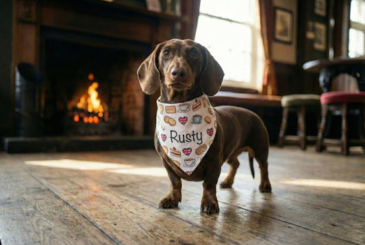 Dachshund wearing a bandana with 'Rusty' on a wooden floor in a cozy room.